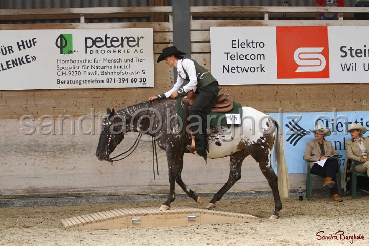 28-ApHC OT_014.jpg